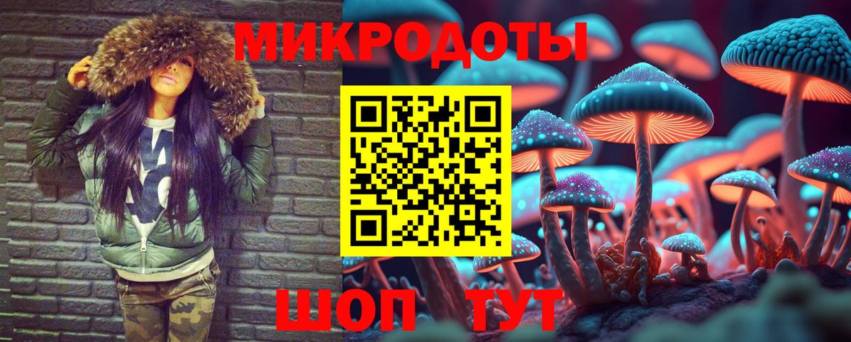 Псилоцибиновые грибы прущие грибы Мыски