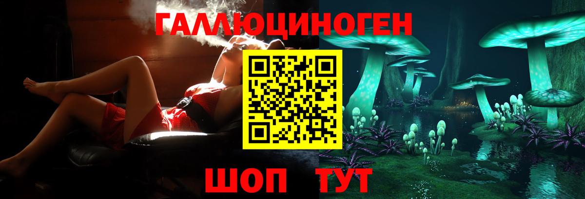 где найти   Вход с VPN  Мыски  Галлюциногенные грибы прущие грибы  Галлюциногенные грибы прущие грибы 