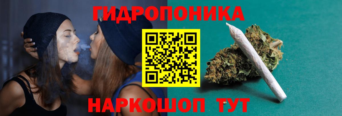 Бошки марихуана план  Шишки марихуана Amnesia  Бошки марихуана тримм  Мыски  Вход с VPN 